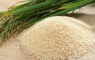 大米的营养价值详解